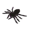 Araña Gigante Morada 15 cm