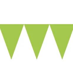 Banderín de Papel Verde Kiwi 4,5 metros