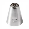 Boquilla Especial #234 Hierba Acero Inox. Grande