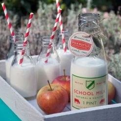 Botellita de leche tradicional 0,5 Lt