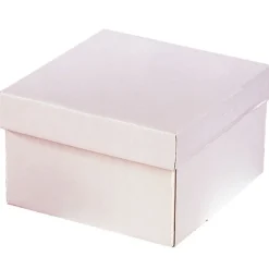 Caja para Tarta Extra Fuerte con Tapa 25 x 25 x 15 cm