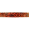 Cinta satinada Telaraña 36mm (1 mts)