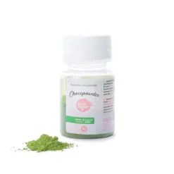 Colorante en Polvo Chocopowder - Verde Bosque 10 gr