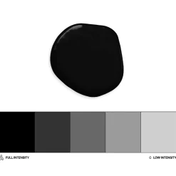 Colorante Liposoluble Colour Mill. - Negro / Black (100 ml)