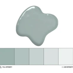 Colorante Liposoluble Eucalipto 20 ml - Colour Mill