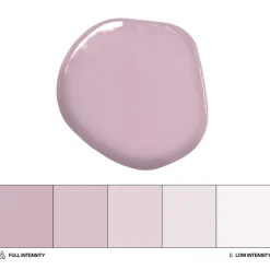 Colorante Liposoluble Malva 20 ml - Colour Mill