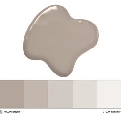 Colorante Liposoluble Piedra 20 ml - Colour Mill