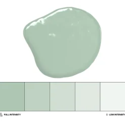 Colorante Liposoluble Verde Salvia 20 ml - Colour Mill