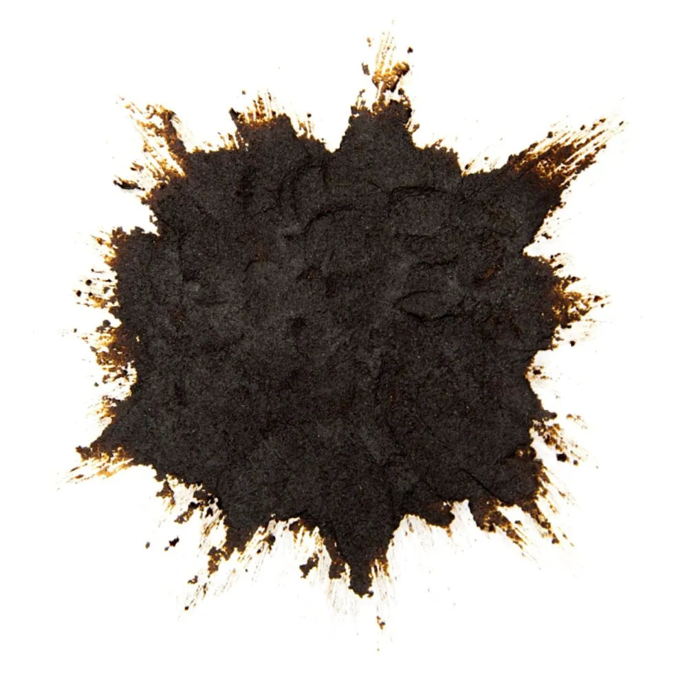 Corazón de Vainilla Bourbon 100 gr - Eurovanille