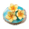 Cortador Plumeria con Molde Texturizador