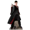 Decoración Photocall Harry Potter Capitán Quidditch 170 cm