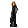 Decoración Photocall Hermione Granger 165 cm