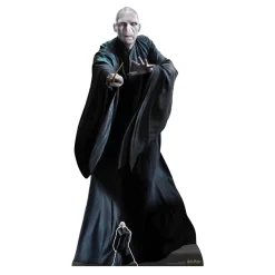 Decoración Photocall Lord Voldemort 184 cm