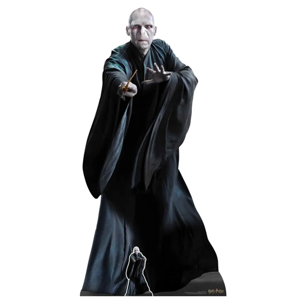 Decoración Photocall Lord Voldemort 184 cm