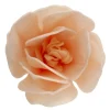 Decoraciones de Oblea Magnolia Blanca 6 ud - Dekora
