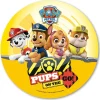 Disco de Oblea Patrulla Canina modelo B 20 cm