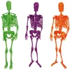 Esqueletos Colgantes de Colores 3 ud