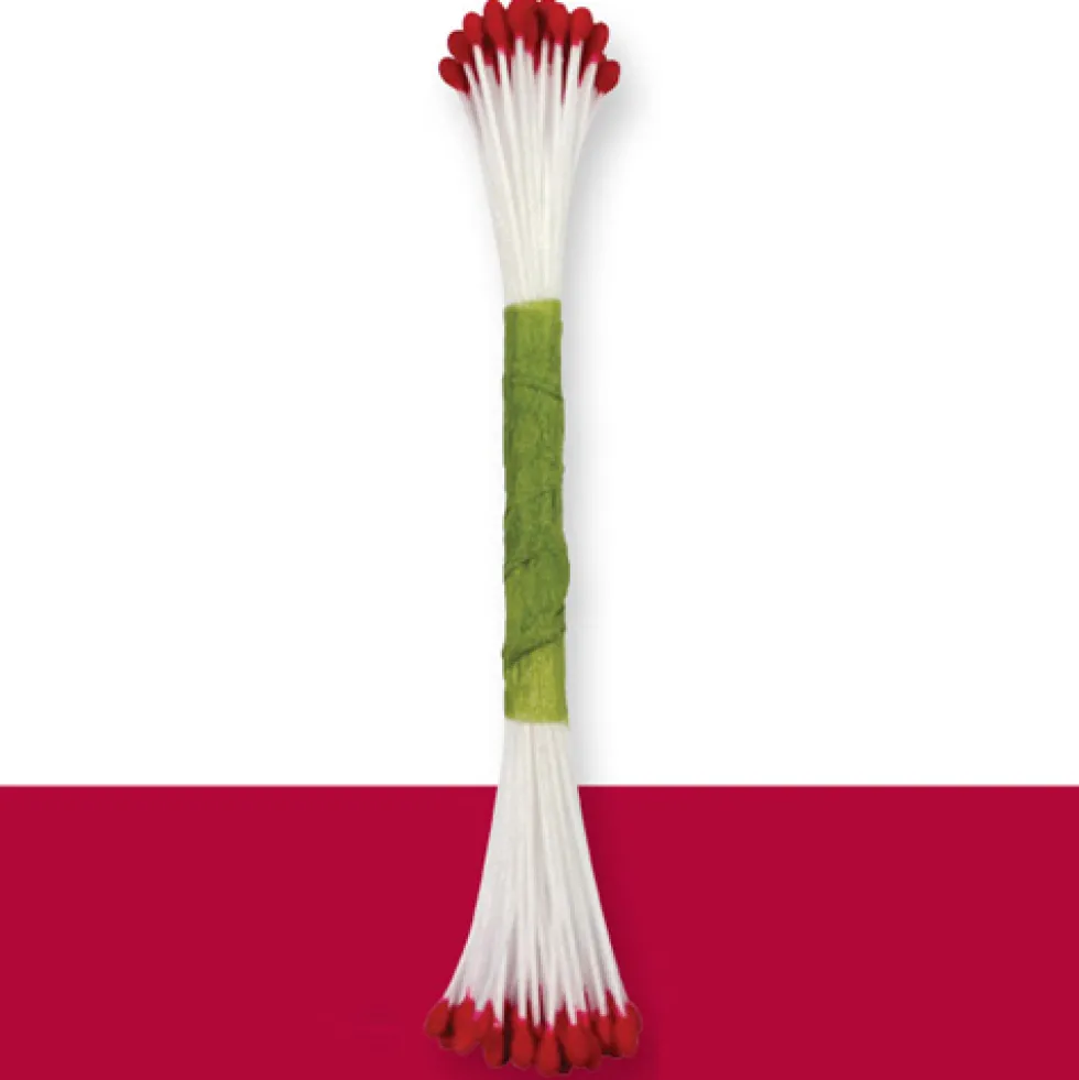 Estambres finos rojos