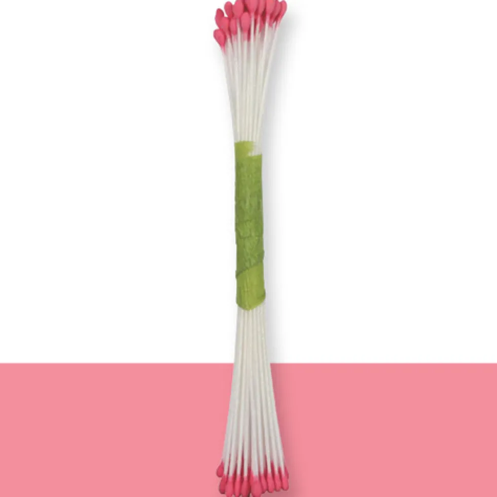 Estambres grandes rosa