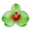 Flores De Oblea Orquidea Verde 10 ud - Dekora