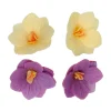 Flores de Papel Comestibles Hortensia Púrpura / Amarilla Pequeña 18 ud