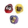 Flores de Papel Comestibles Mix Pensamiento Pequeña 30 ud
