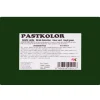 Fondant Pastkolor Verde Acebo 1 Kg