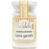 Goma Garrofin 30 gr - Chefdelice