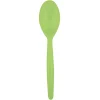 Juego de 20 Cucharas de Plástico Verde