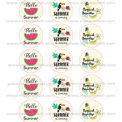 Juego de 15 Impresiones en Papel de Azúcar Verano Modelo B 5 cm