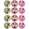 Juego de 12 Impresiones en Papel de Azúcar Minnie Mouse