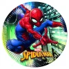 Juego de 8 Platos Spiderman Team Up 23 cm