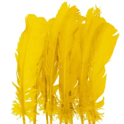 Juego de 10 Plumas Amarillas 20 cm