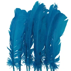 Juego de 10 Plumas Azules 20 cm