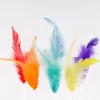 Juego de 6 plumas decorativas 14 cm