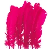 Juego de 10 Plumas Fucsias 20 cm
