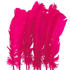 Juego de 10 Plumas Fucsias 20 cm