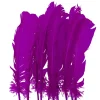 Juego de 10 Plumas Lilas 20 cm