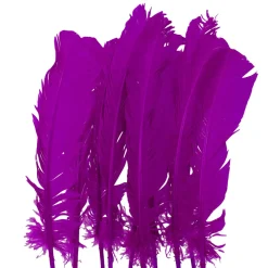 Juego de 10 Plumas Lilas 20 cm