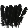 Juego de 10 Plumas Negras 20 cm