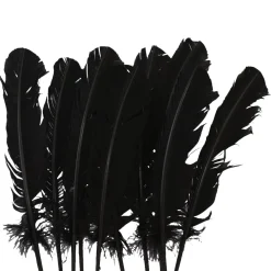 Juego de 10 Plumas Negras 20 cm