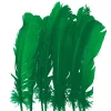 Juego de 10 Plumas Verdes 20 cm
