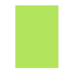 Mantel de Papel Verde Kiwi