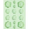 Molde de Silicona Suculentas