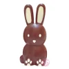 Molde para Chocolate Conejo 3D - Scrapcooking