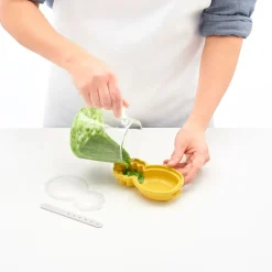 Molde para Helados Piña
