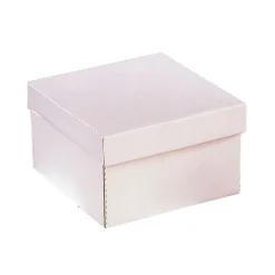 Pack 5 Cajas para tartas 25 x 25 x 15 cm