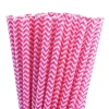 Pack de 24 Pajitas de Papel Chevron Fucsia