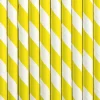 Pack de 10 Pajitas de Papel Rayas Amarillas