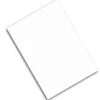 Papel Comestible en Blanco (1 ud)